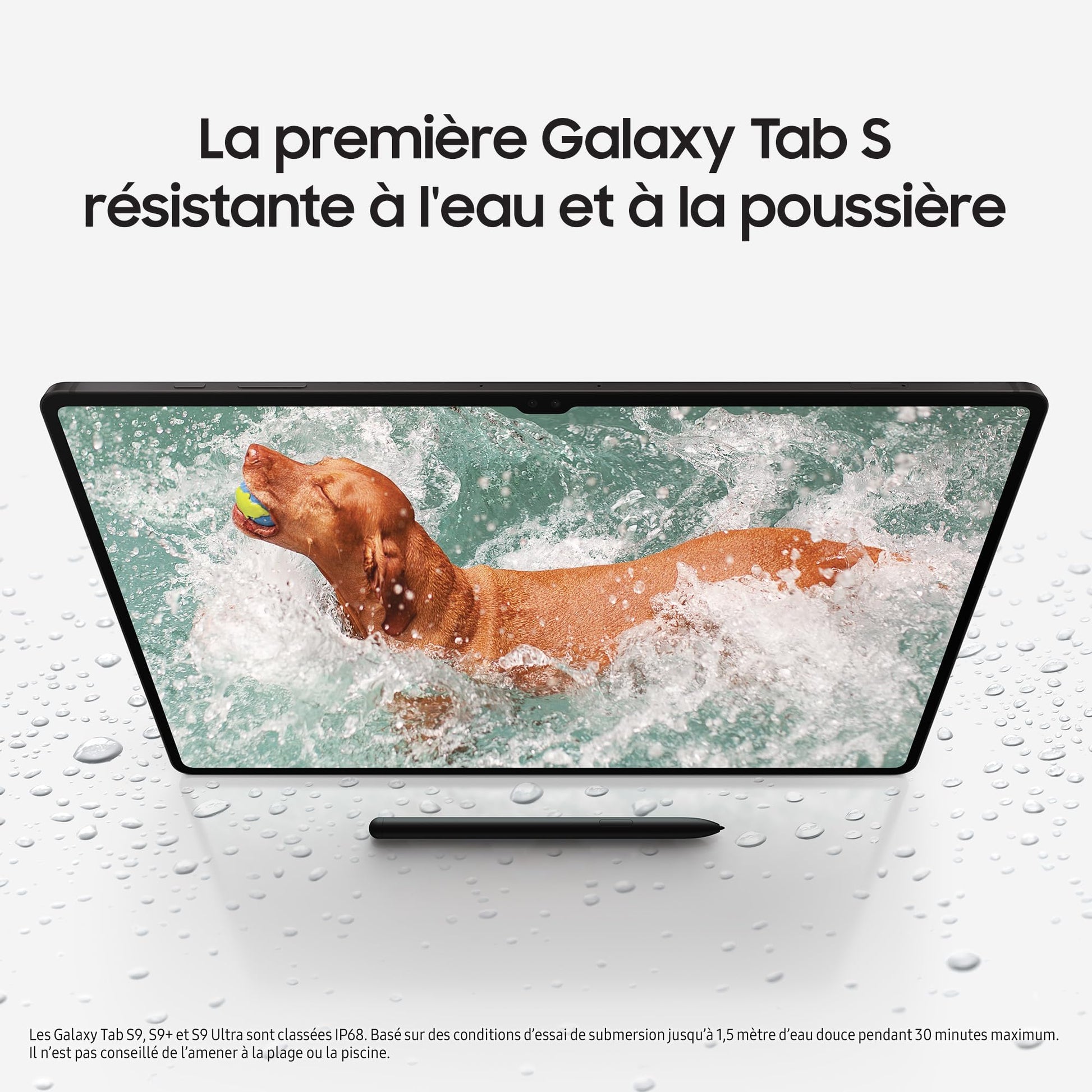 Samsung Galaxy Tab S9+ 256GB Wi-Fi Graphite Tablet