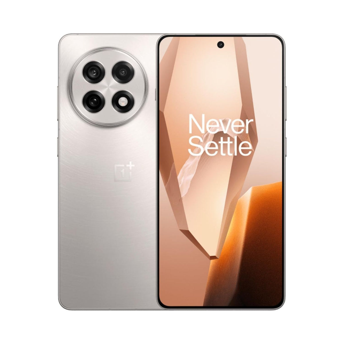 OnePlus 13R 12GB 256GB Dual SIM Silver Smartphone